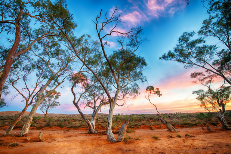 Guide to visiting the outback on vacation in Australia