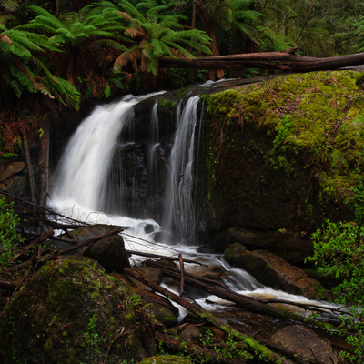 Things you should not miss in <strong>Warragul–Drouin</strong>