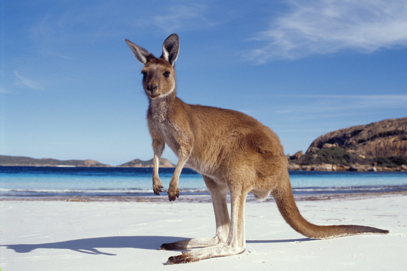 Read more about the article What are the best family-friendly experiences in Australia?