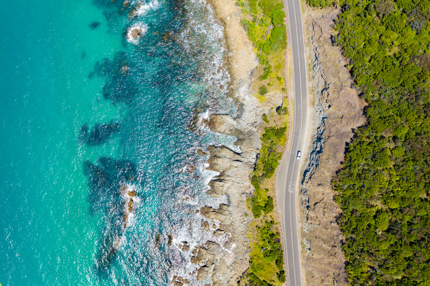 Read more about the article What are the best road trips to take in Australia?